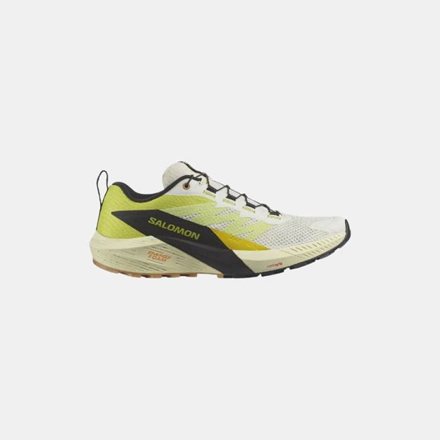 Picture of SALOMON - SENSE RIDE 5